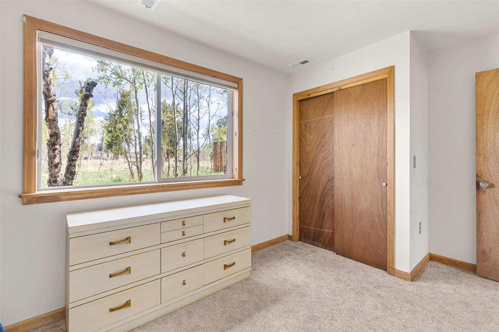 408 Foxtail Lane Fairplay CO 80440