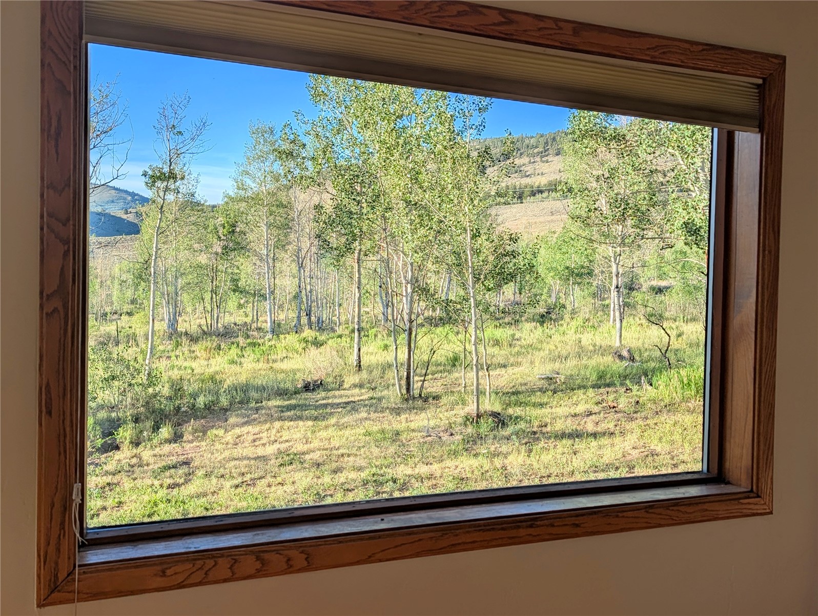 1703 Elk Run Road Silverthorne CO 80498