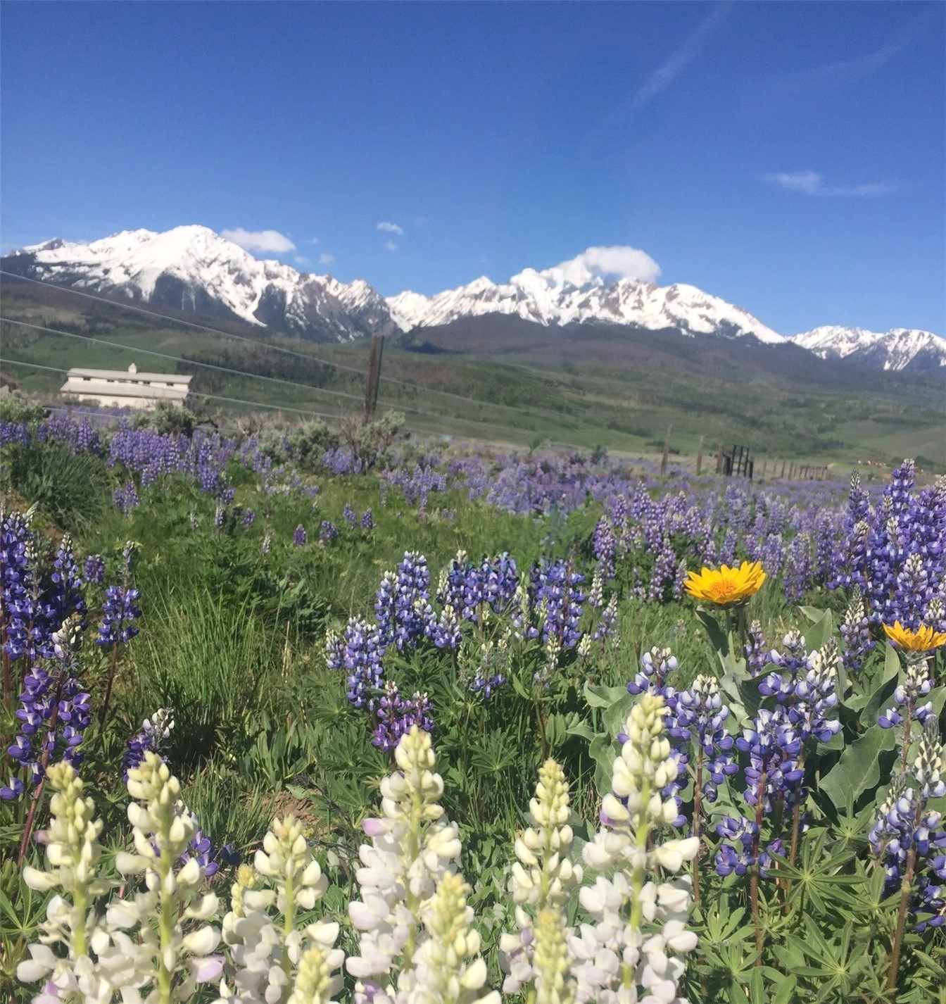 1703 Elk Run Road Silverthorne CO 80498