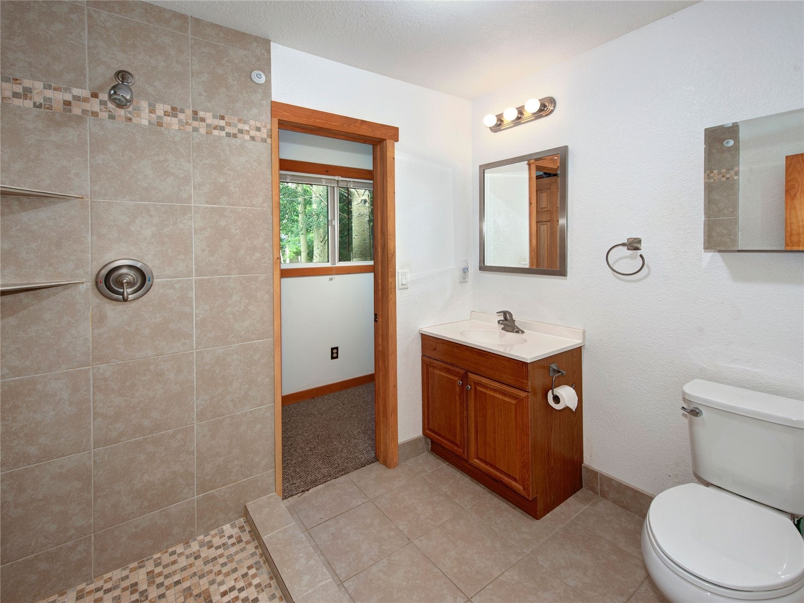 36 Cartier Court Dillon CO 80435