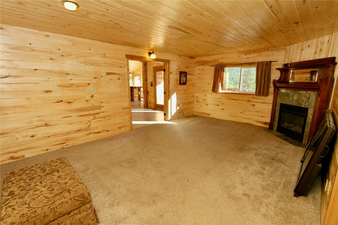 4207 Highway 91 Leadville CO 80461