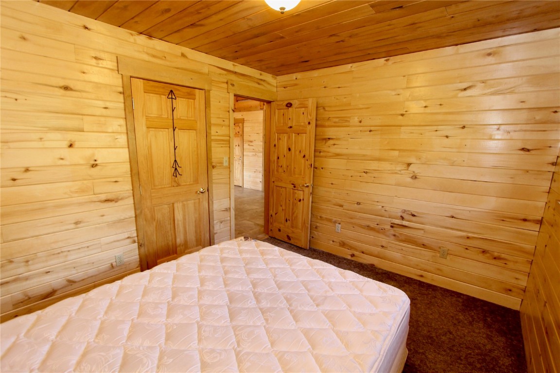 4207 Highway 91 Leadville CO 80461