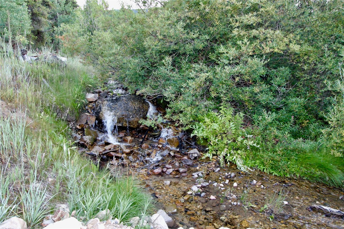 4207 Highway 91 Leadville CO 80461
