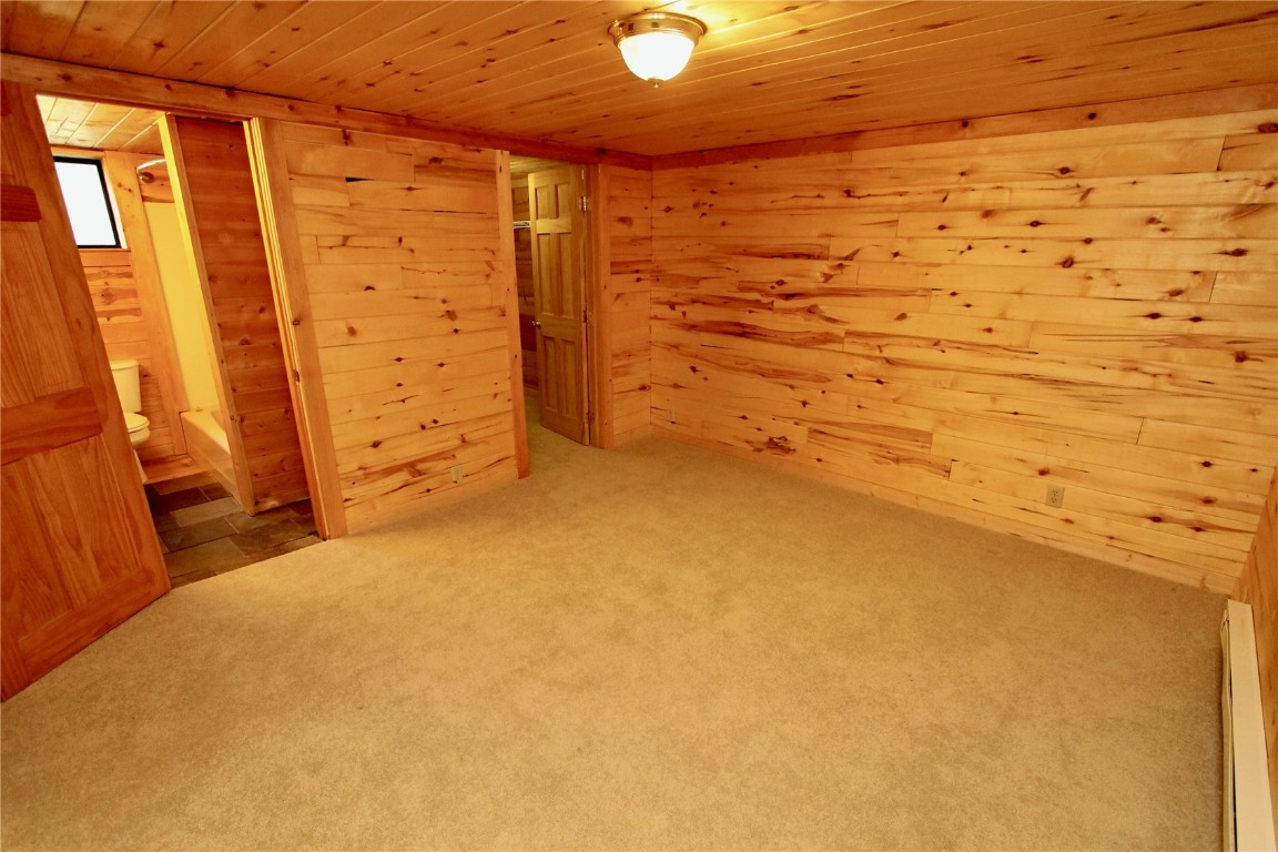 4207 Highway 91 Leadville CO 80461