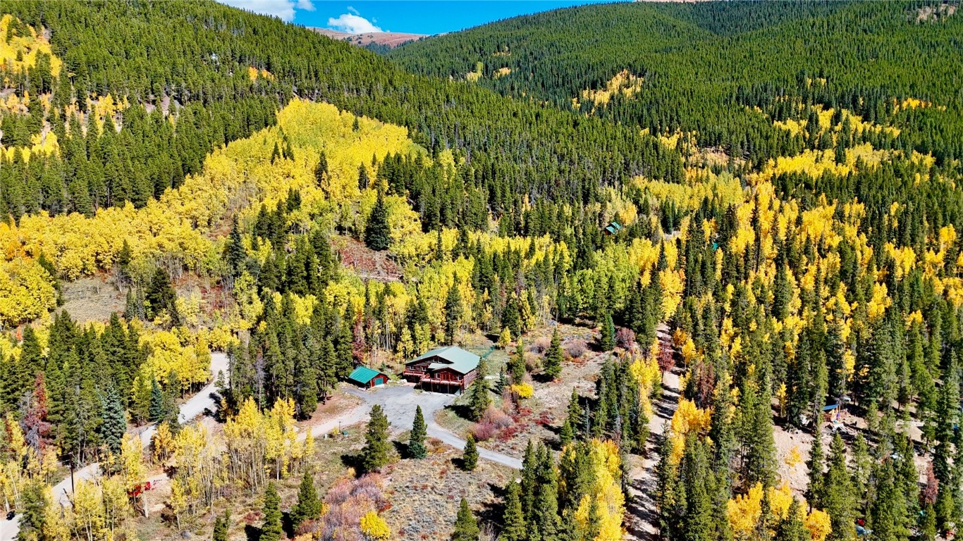 4207 Highway 91 Leadville CO 80461