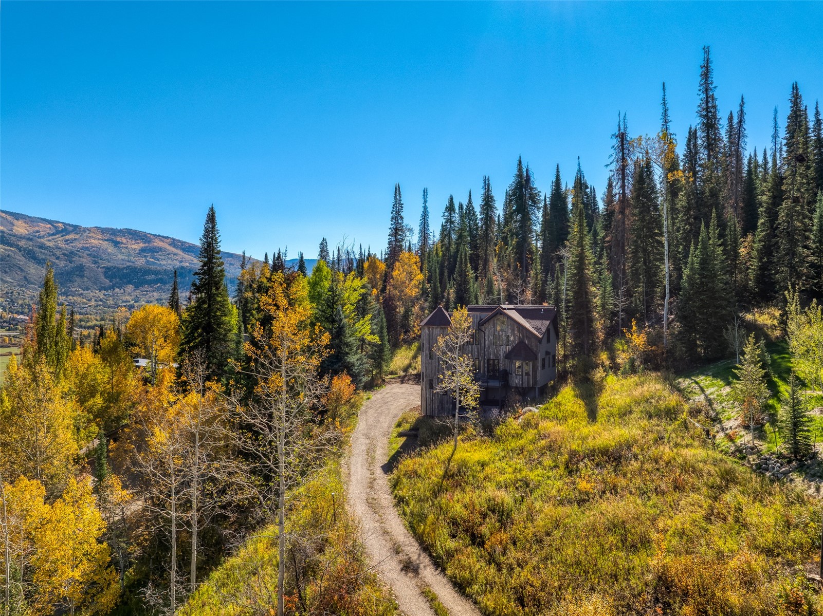 36881 Tree Haus Drive Steamboat Springs CO 80487