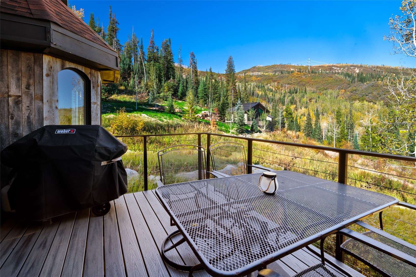 36881 Tree Haus Drive Steamboat Springs CO 80487