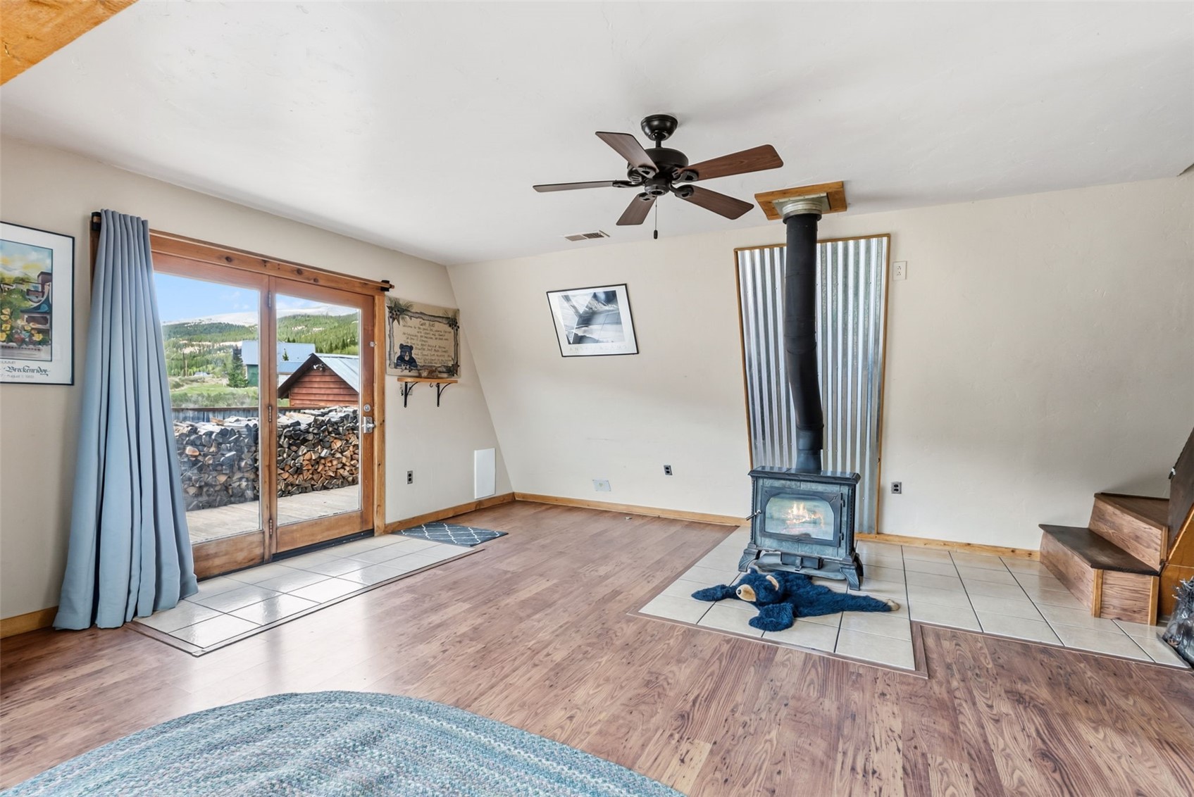 174 County Road 4 Alma CO 80420