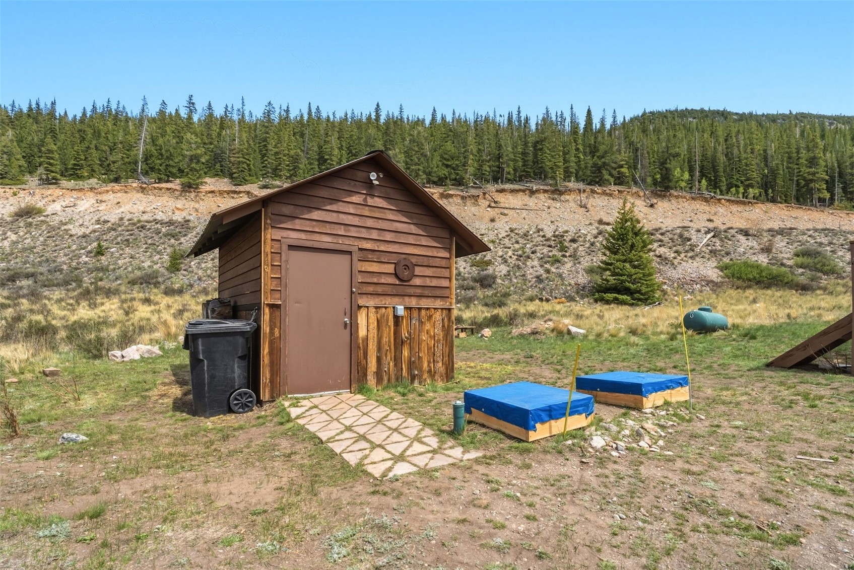 174 County Road 4 Alma CO 80420