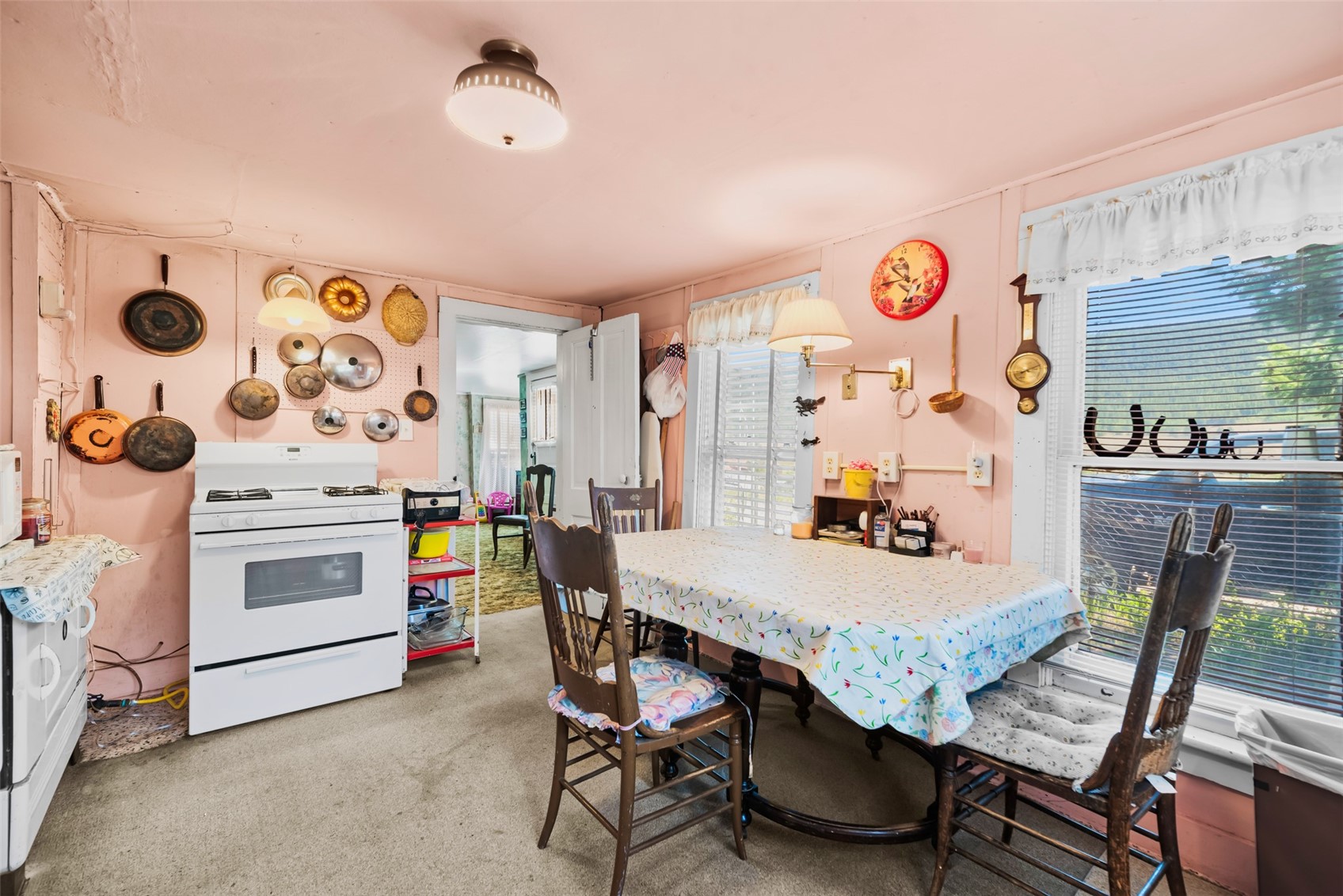 137 N Pine Street Alma CO 80420