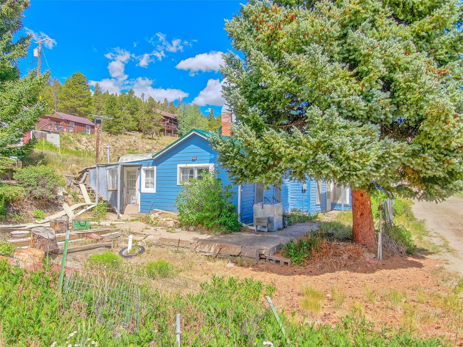 137 N Pine Street Alma CO 80420
