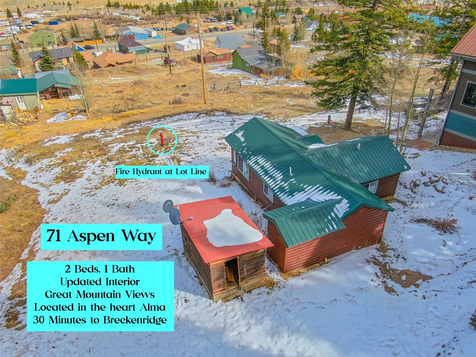 71 Aspen Way Alma CO 80420