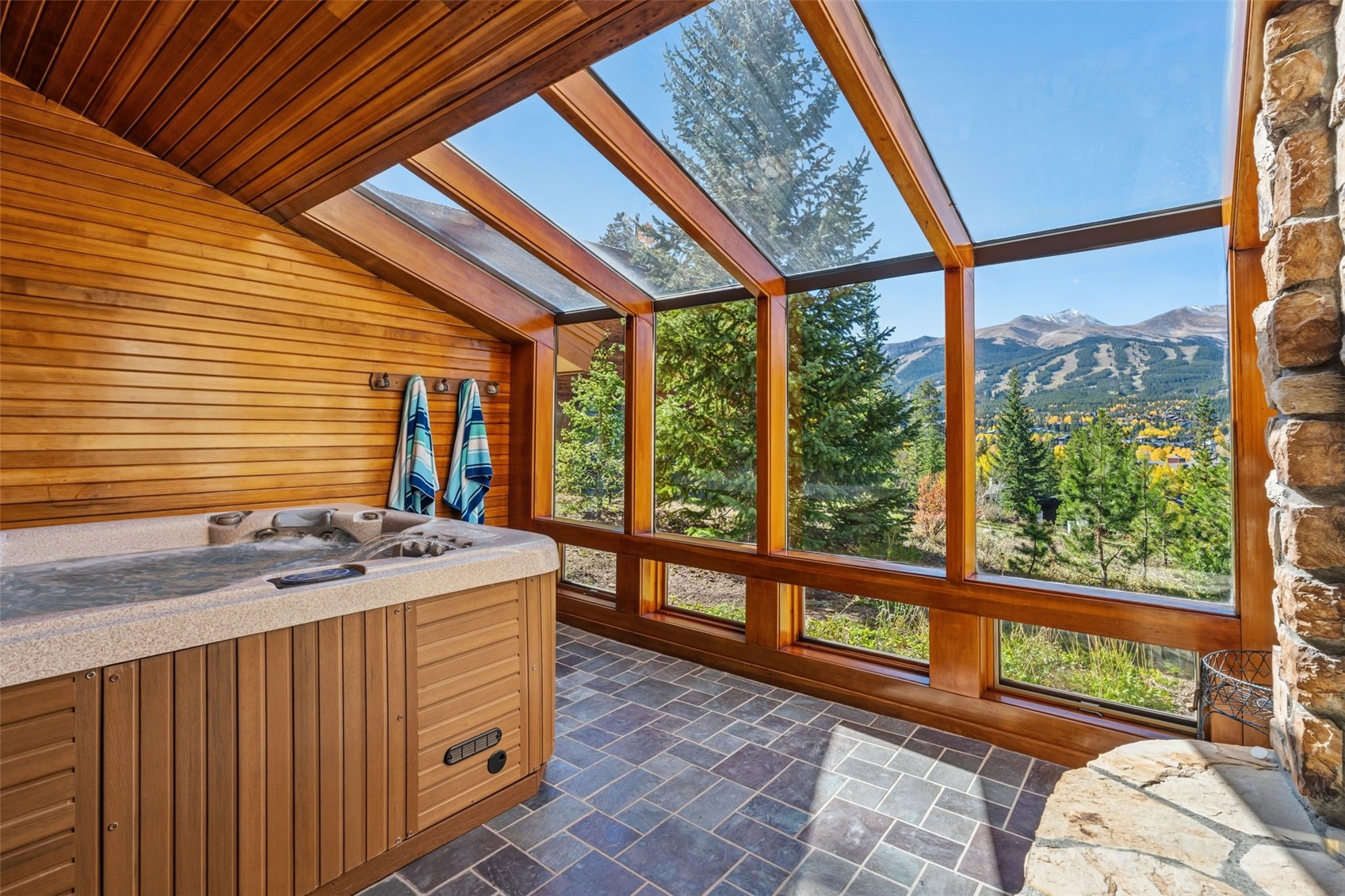 113 N Gold Flake Terrace Breckenridge CO 80424