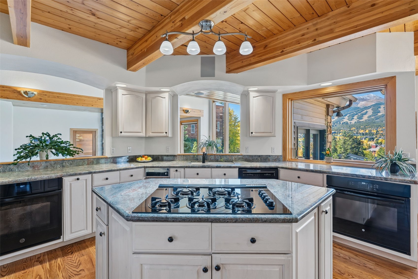 113 N Gold Flake Terrace Breckenridge CO 80424