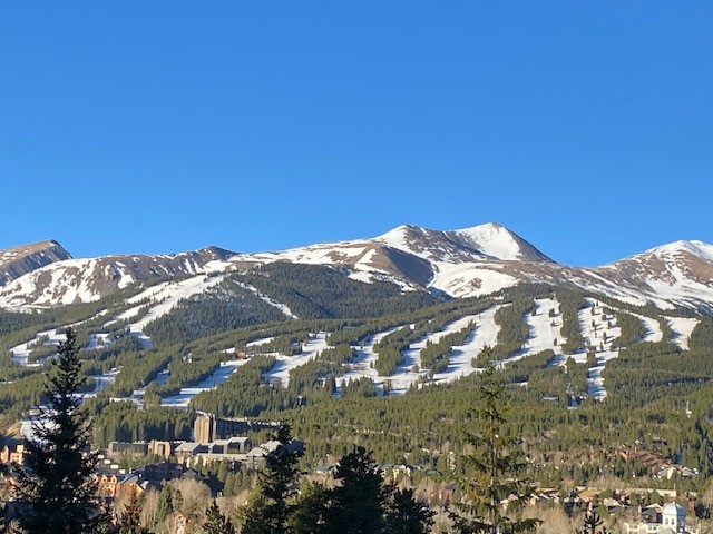 113 N Gold Flake Terrace Breckenridge CO 80424
