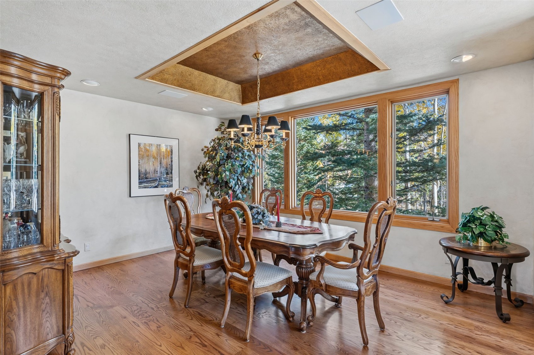 113 N Gold Flake Terrace Breckenridge CO 80424