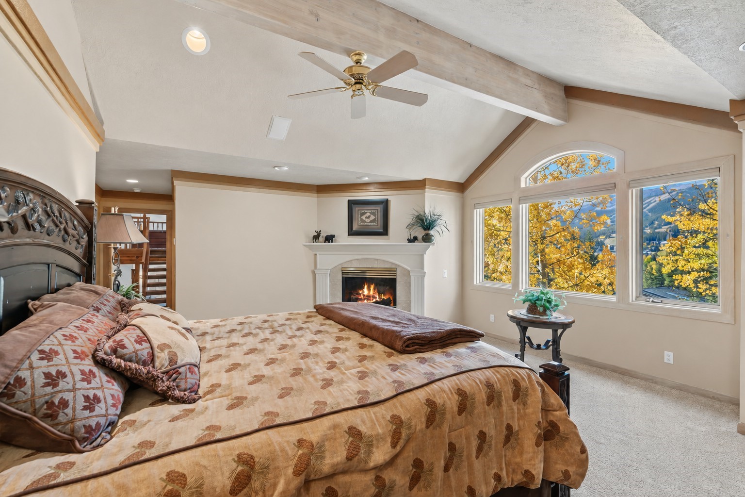 113 N Gold Flake Terrace Breckenridge CO 80424