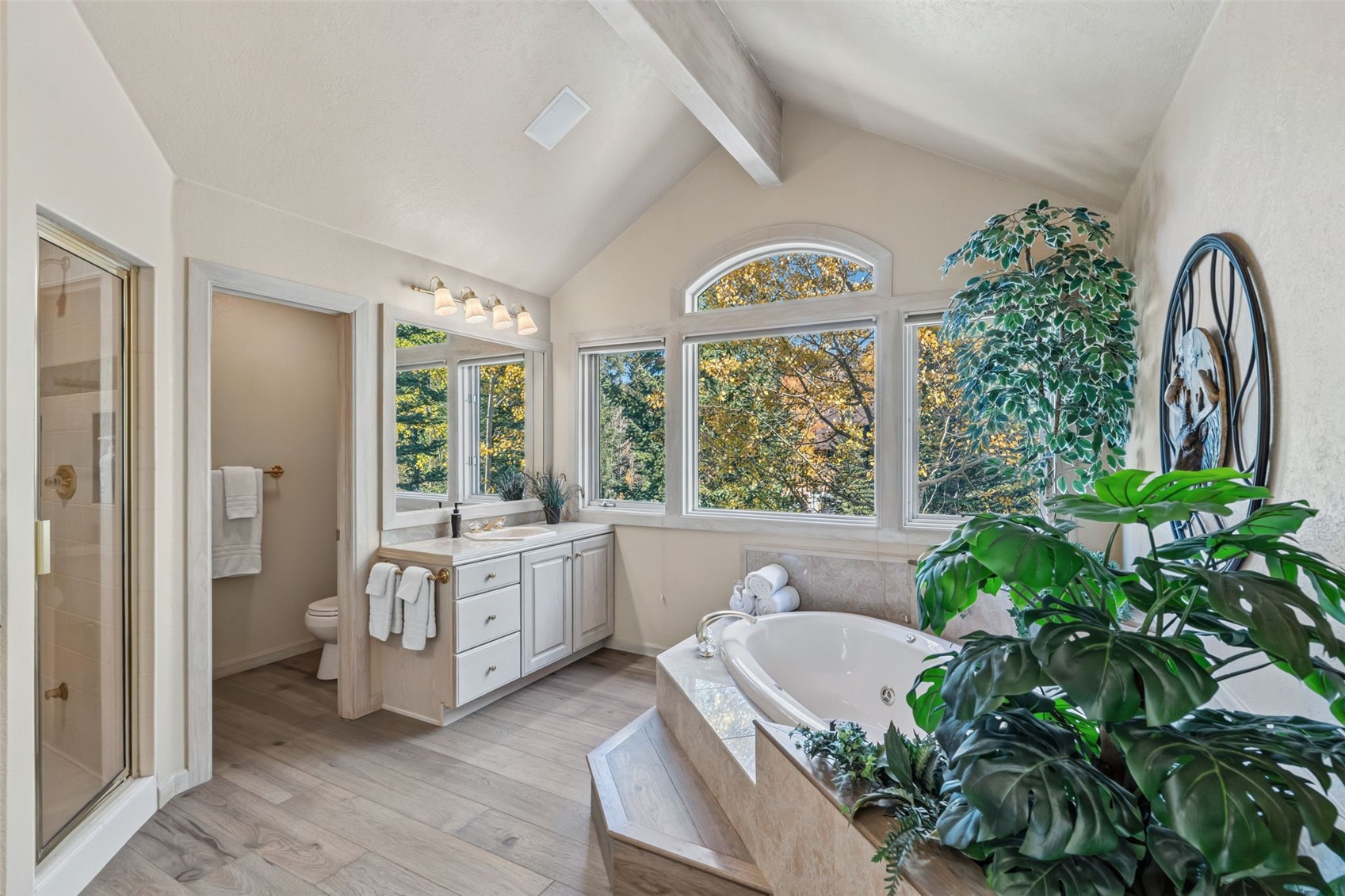 113 N Gold Flake Terrace Breckenridge CO 80424