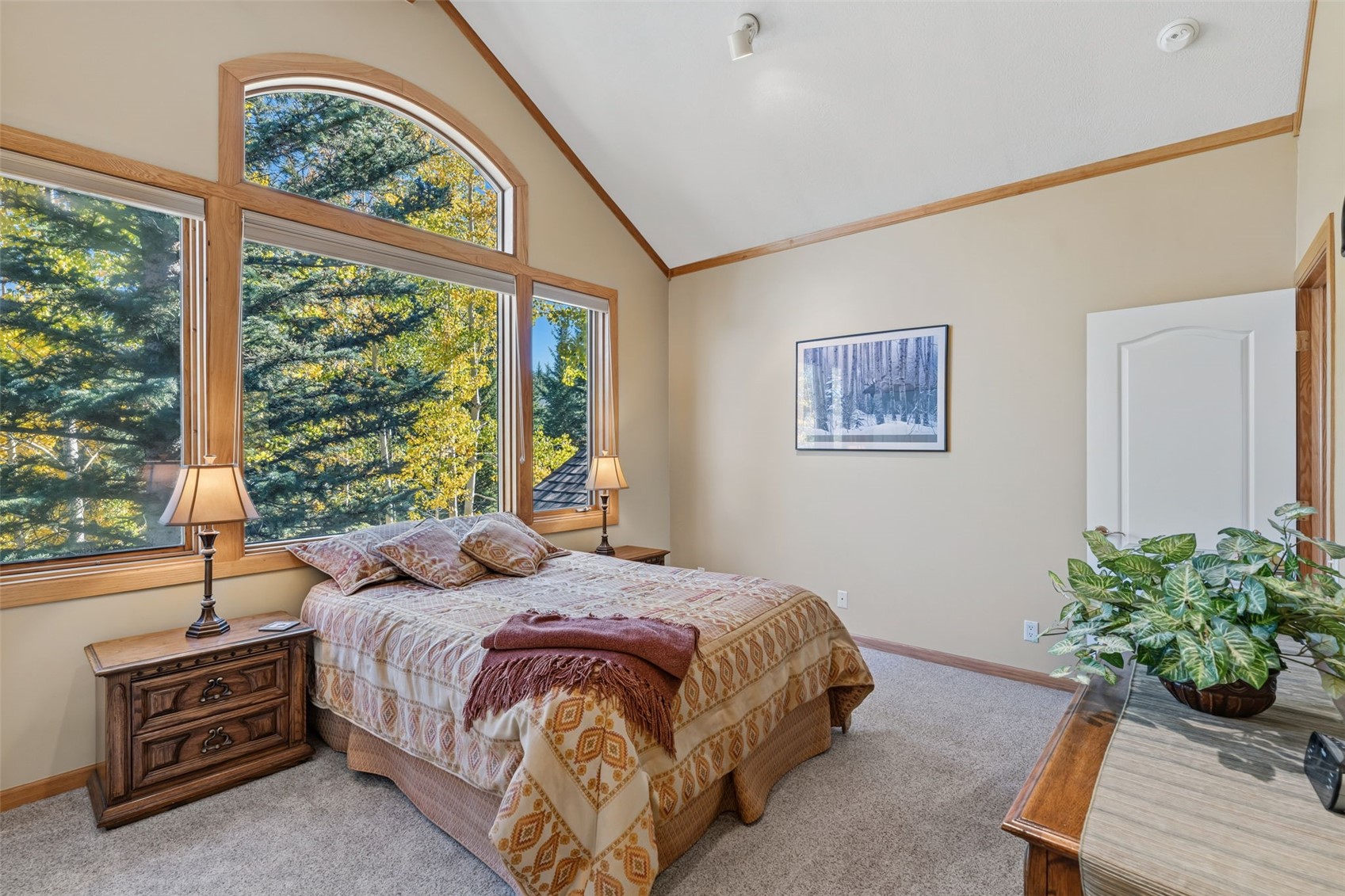 113 N Gold Flake Terrace Breckenridge CO 80424