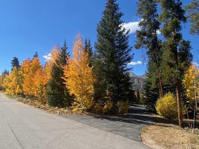 113 N Gold Flake Terrace Breckenridge CO 80424