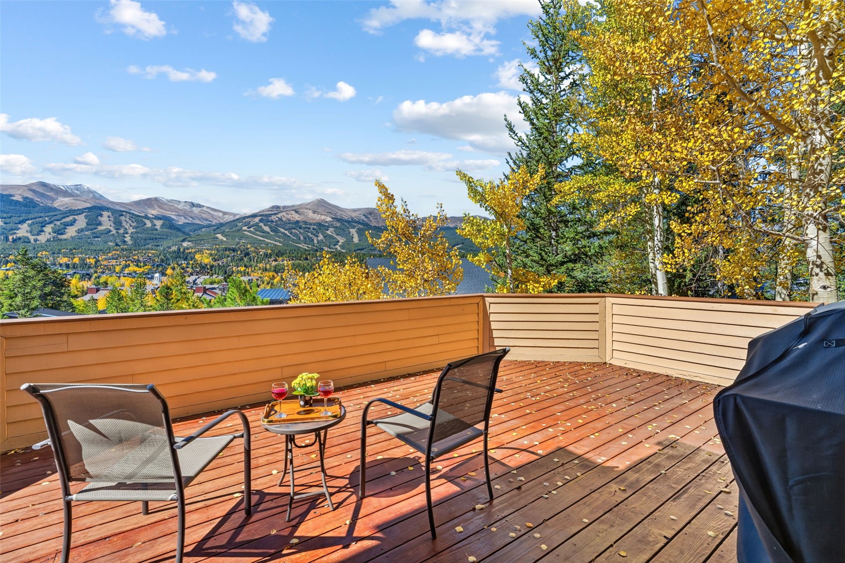 113 N Gold Flake Terrace Breckenridge CO 80424
