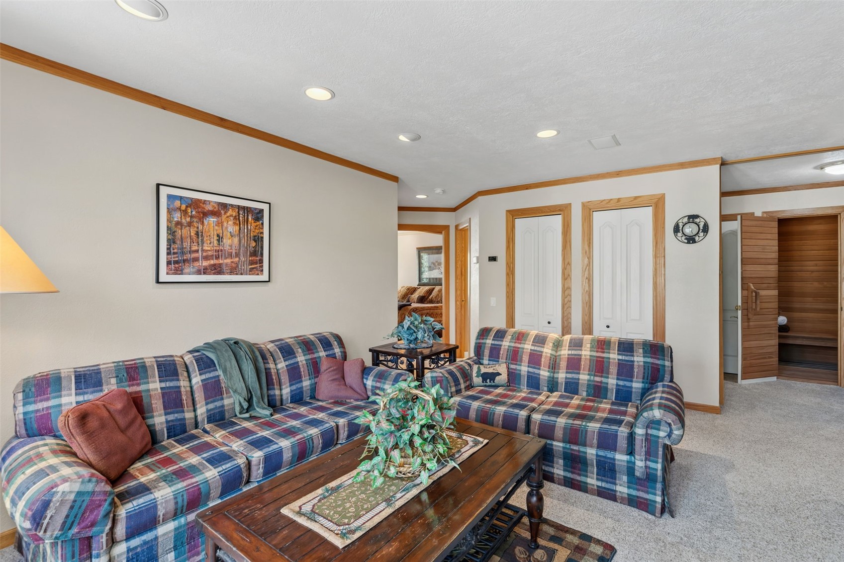 113 N Gold Flake Terrace Breckenridge CO 80424