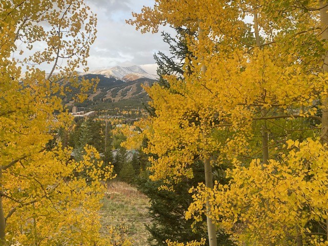 113 N Gold Flake Terrace Breckenridge CO 80424