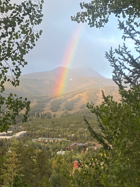 113 N Gold Flake Terrace Breckenridge CO 80424