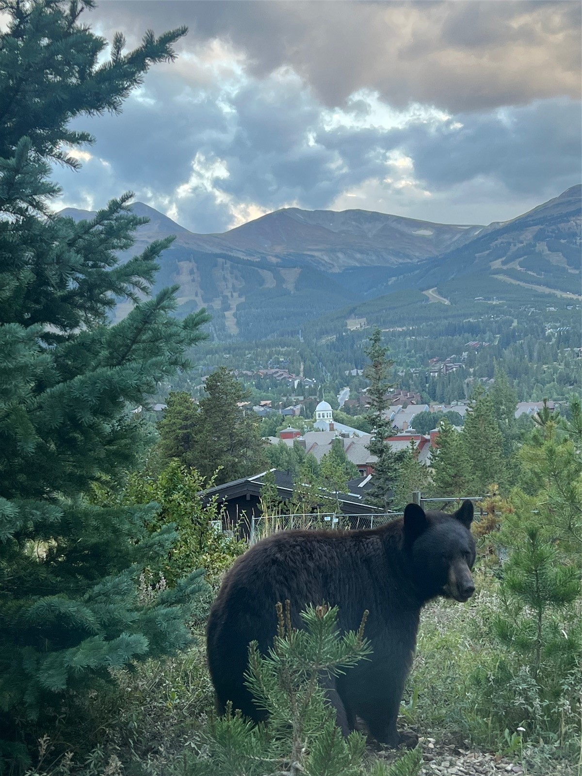 113 N Gold Flake Terrace Breckenridge CO 80424