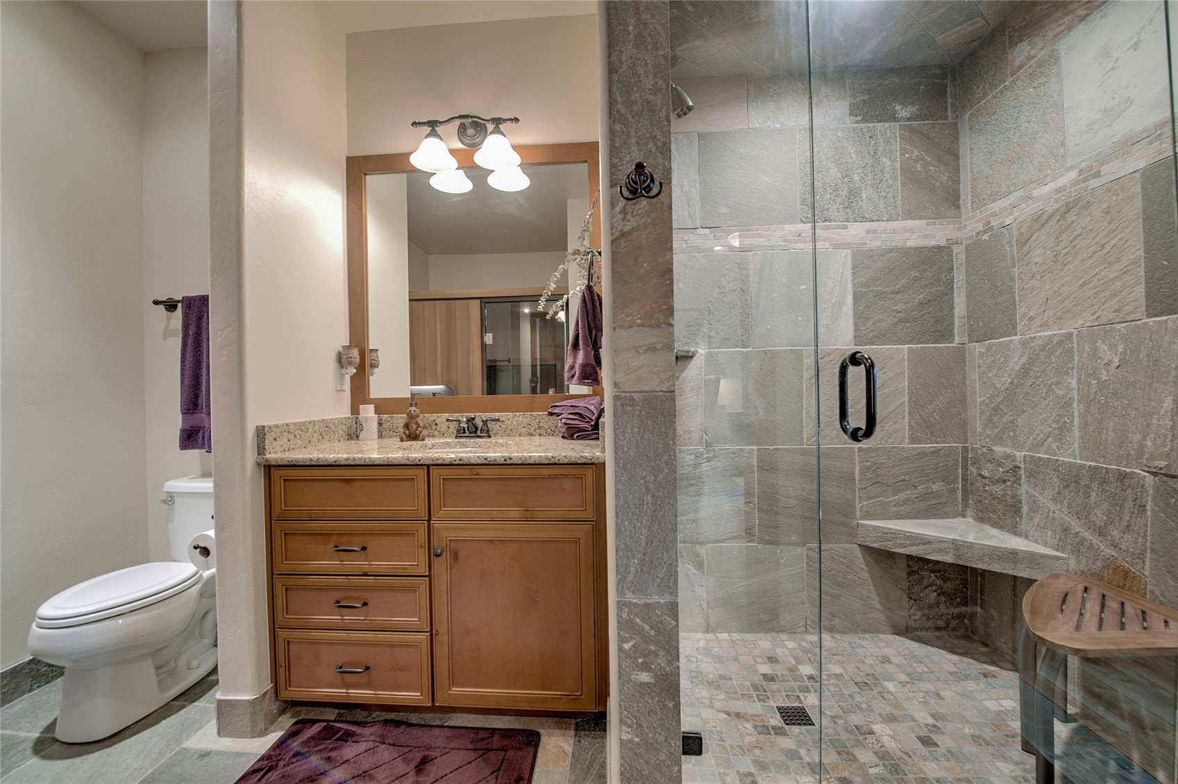 160 Stonefly Drive Silverthorne CO 80498