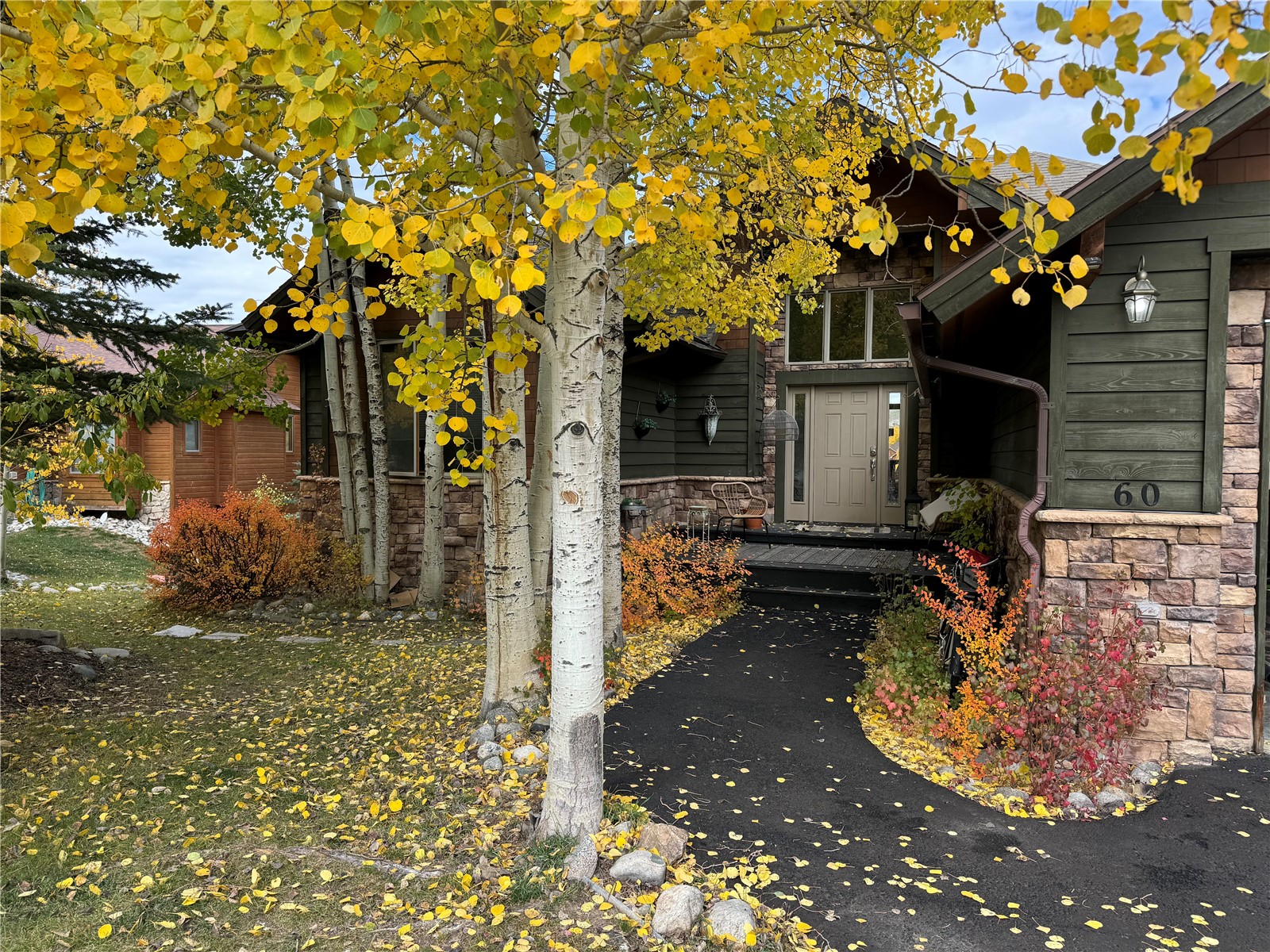 60 Shane Court Dillon CO 80435