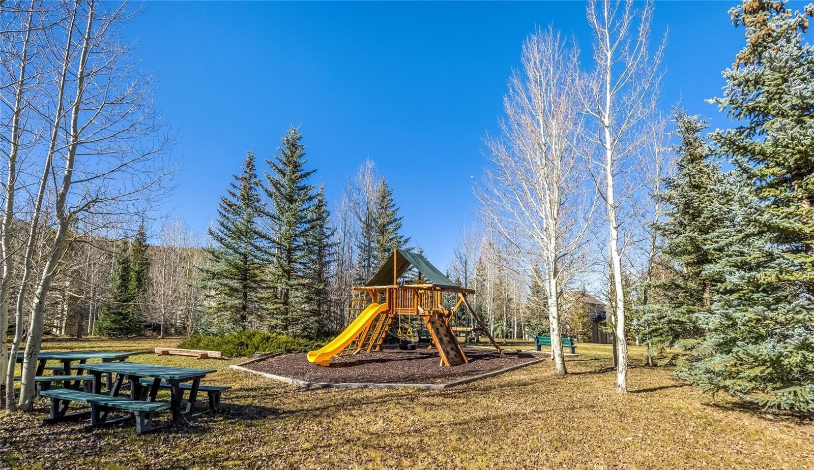 49 Audrey Circle Breckenridge CO 80424
