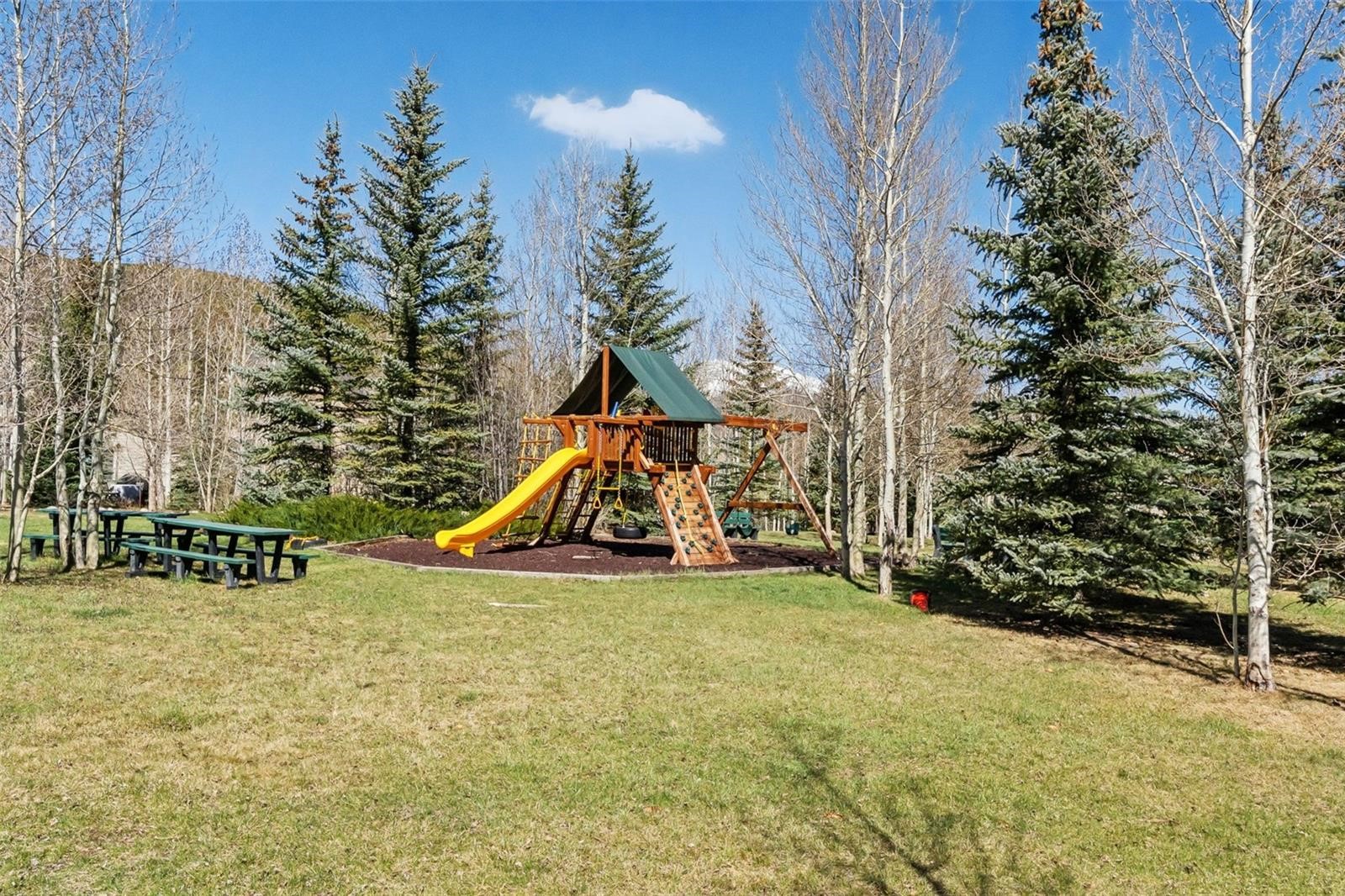 49 Audrey Circle Breckenridge CO 80424