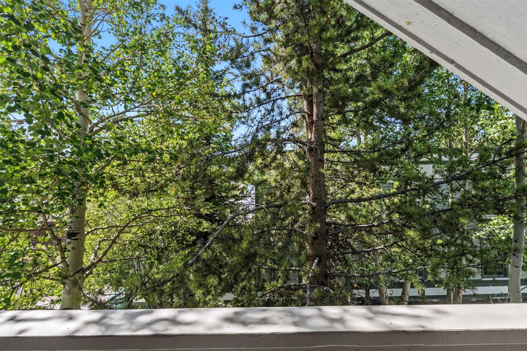 308 N French Street Breckenridge CO 80424