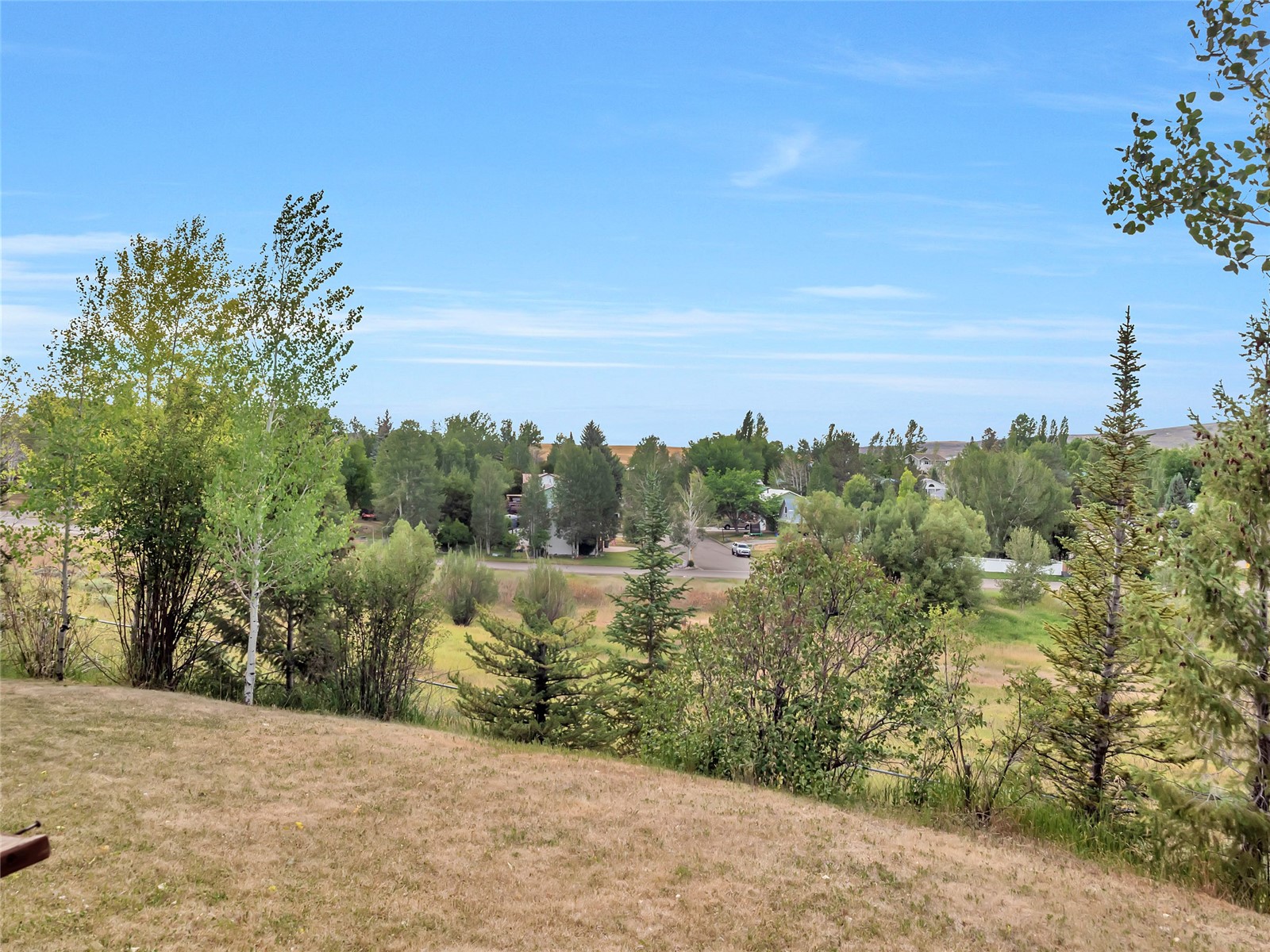 298 Harvest Drive Hayden CO 81639