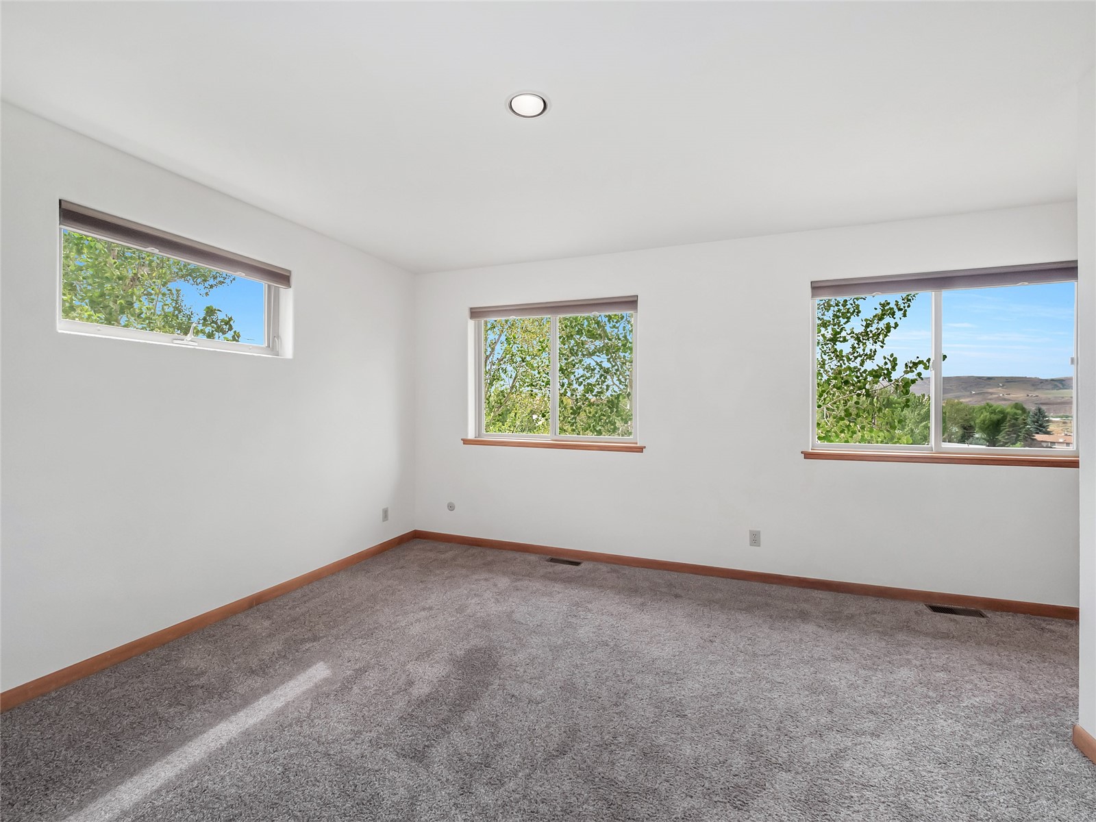 298 Harvest Drive Hayden CO 81639