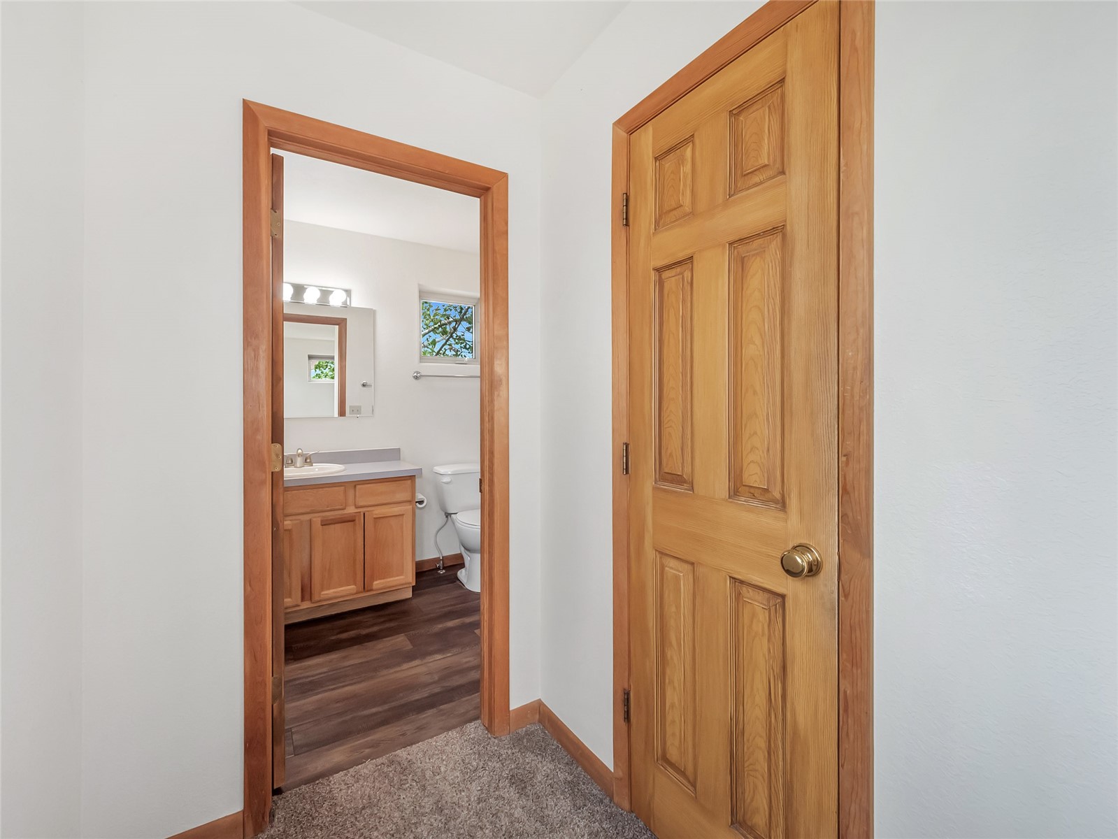 298 Harvest Drive Hayden CO 81639