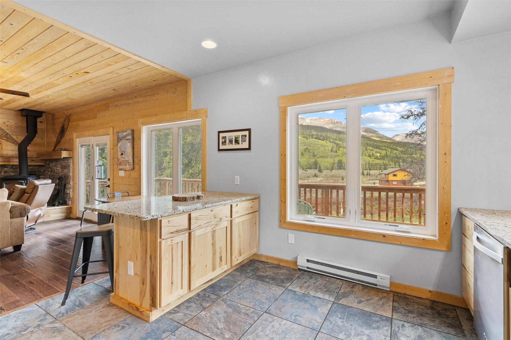 52 Coot Place Alma CO 80420