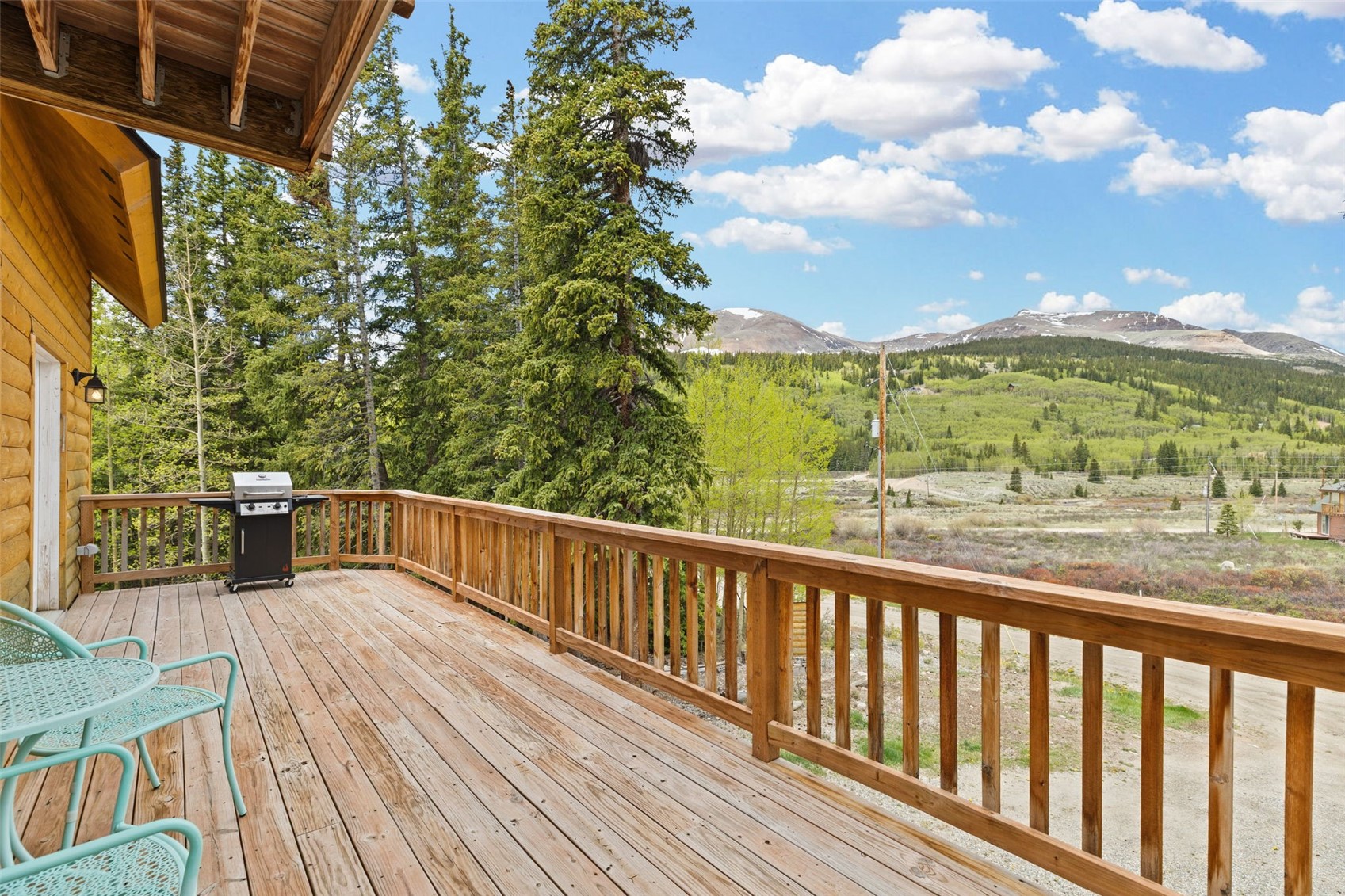 52 Coot Place Alma CO 80420