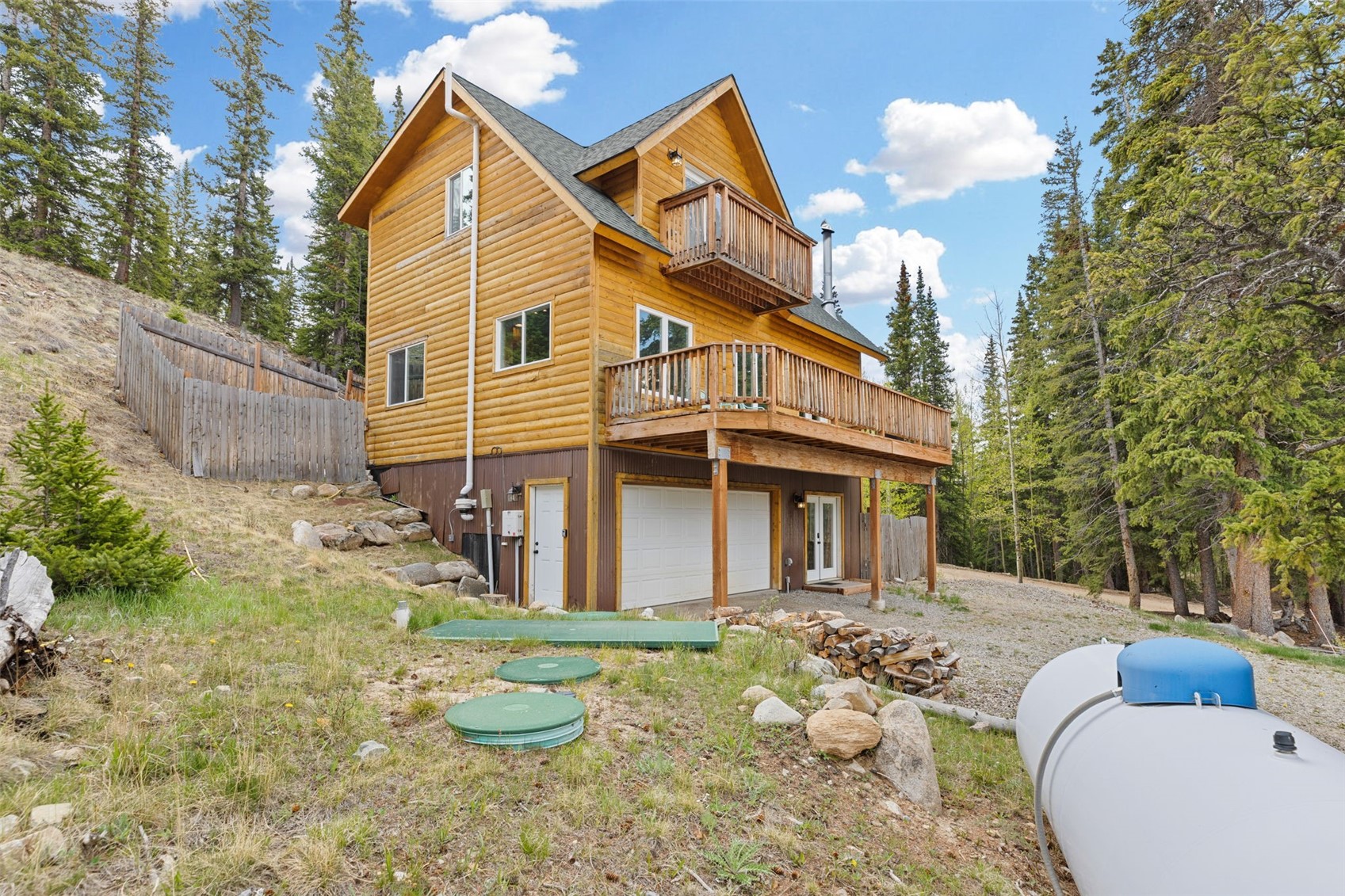 52 Coot Place Alma CO 80420