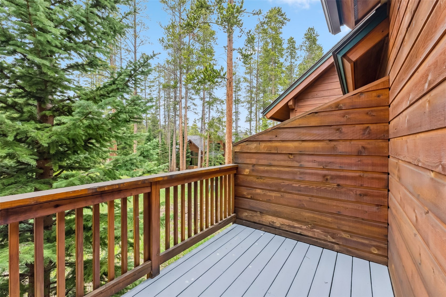1152 Ski Hill Road Breckenridge CO 80424