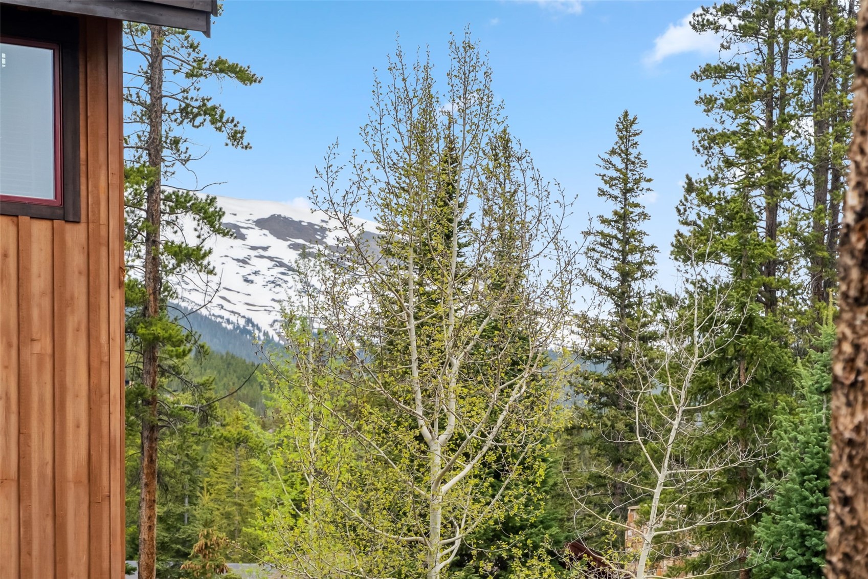 1152 Ski Hill Road Breckenridge CO 80424