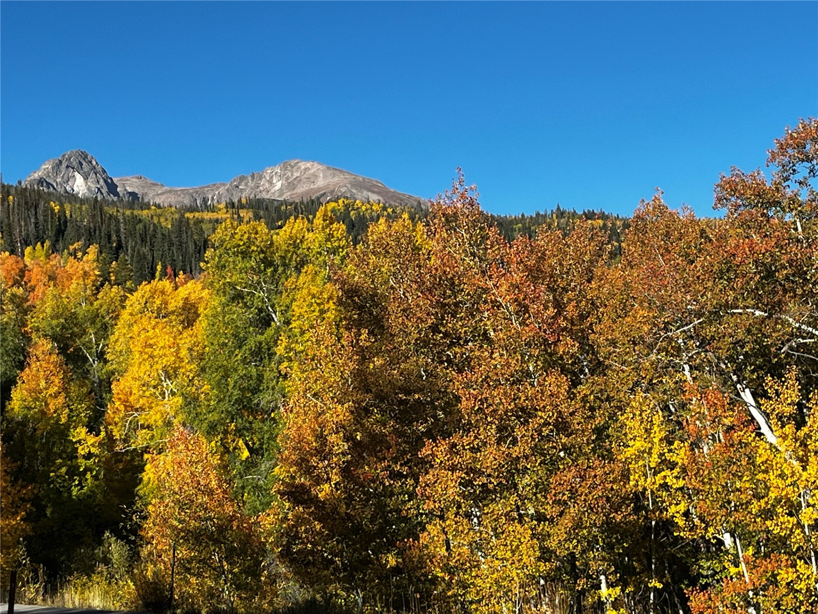 240 Game Trail Road Silverthorne CO 80498