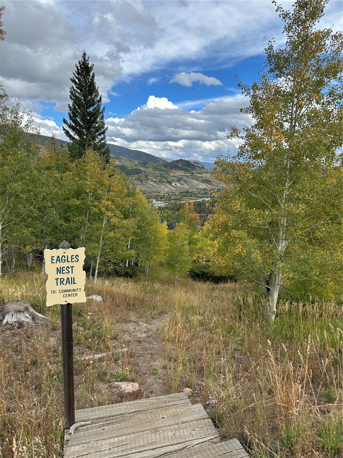 240 Game Trail Road Silverthorne CO 80498