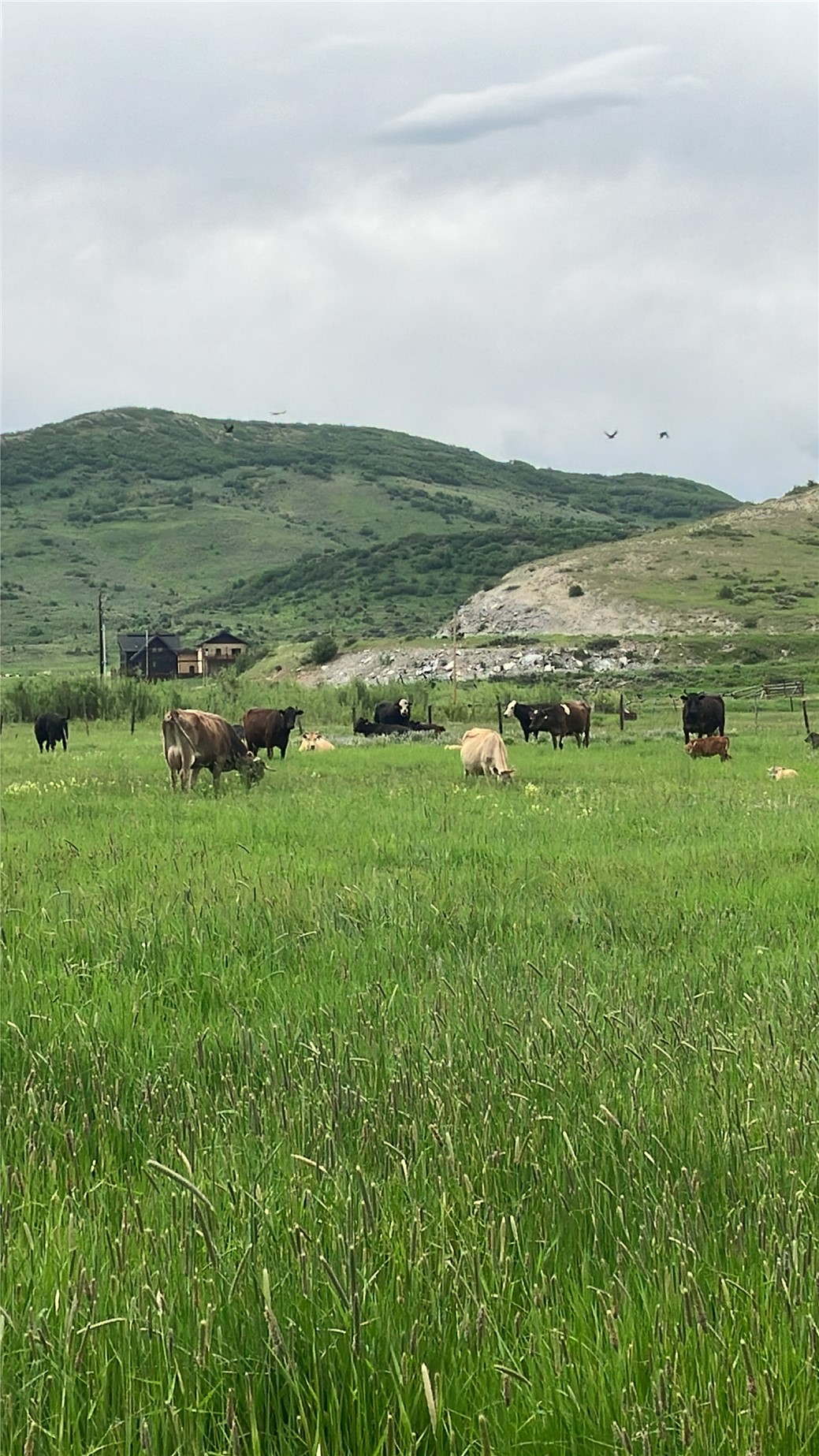 25490 County Road 52e Steamboat Springs CO 80487