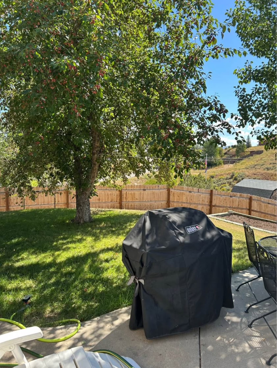 405 High Meadow Court Hayden CO 81639