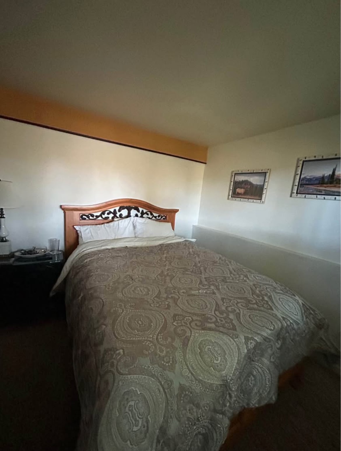 405 High Meadow Court Hayden CO 81639