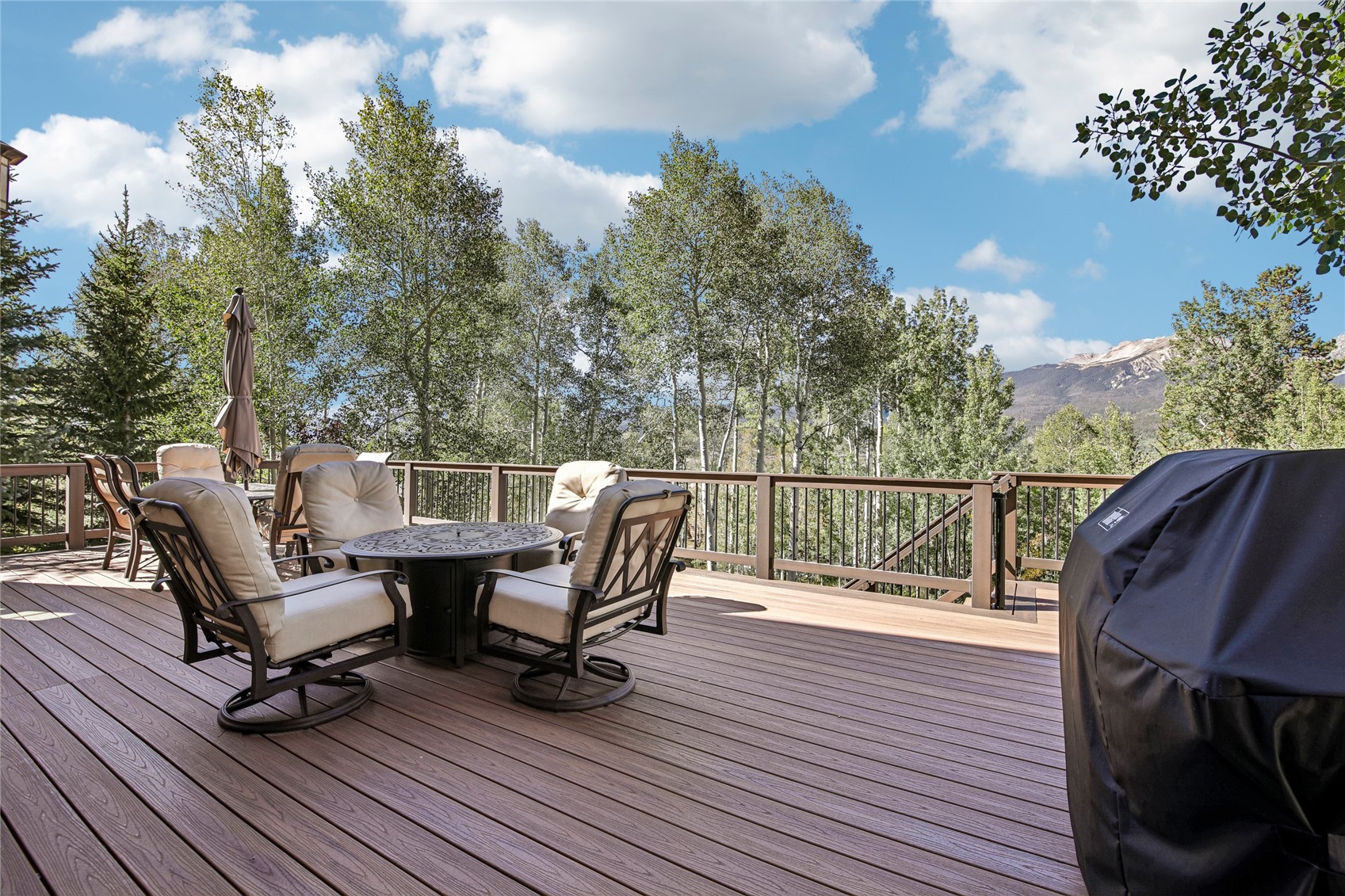 2206 Hamilton Creek Road Silverthorne CO 80498