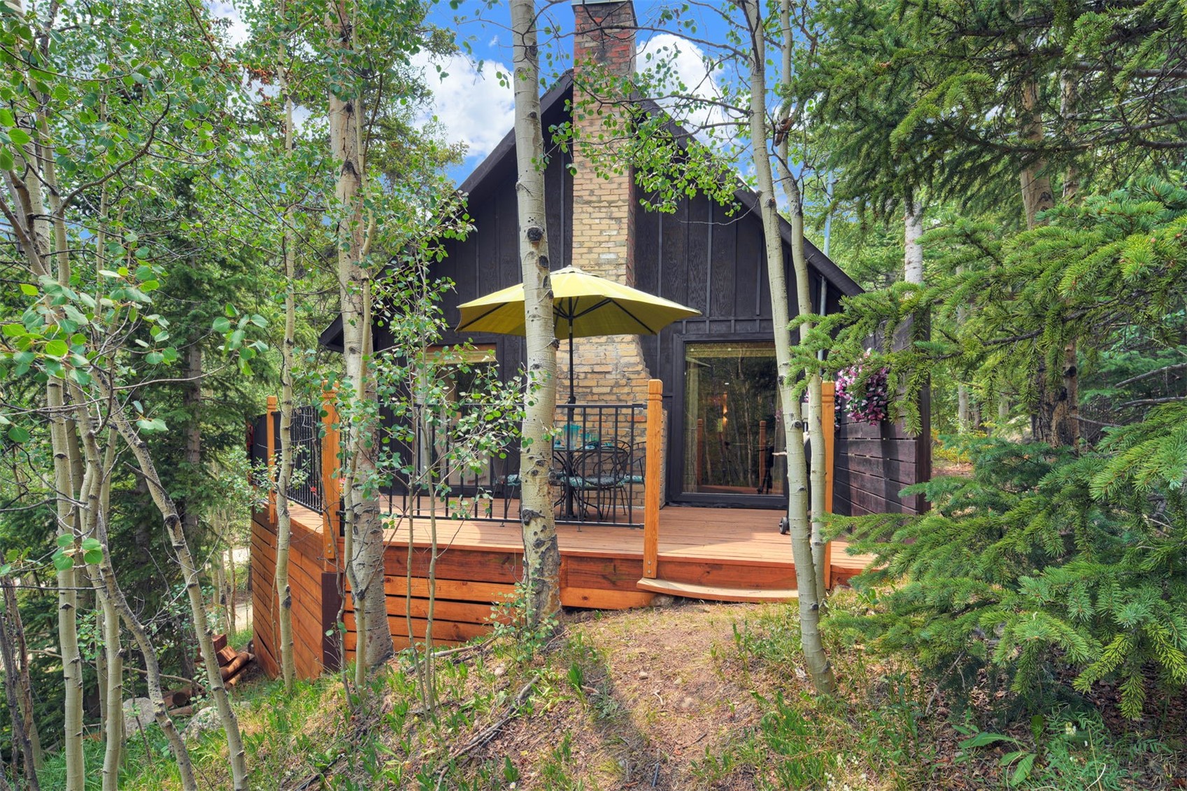 227 Roberts Road Alma CO 80420