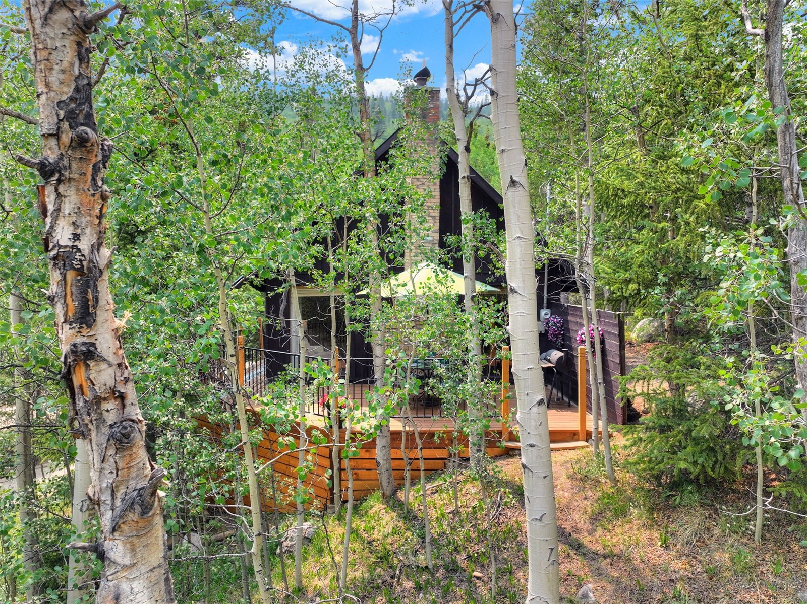 227 Roberts Road Alma CO 80420